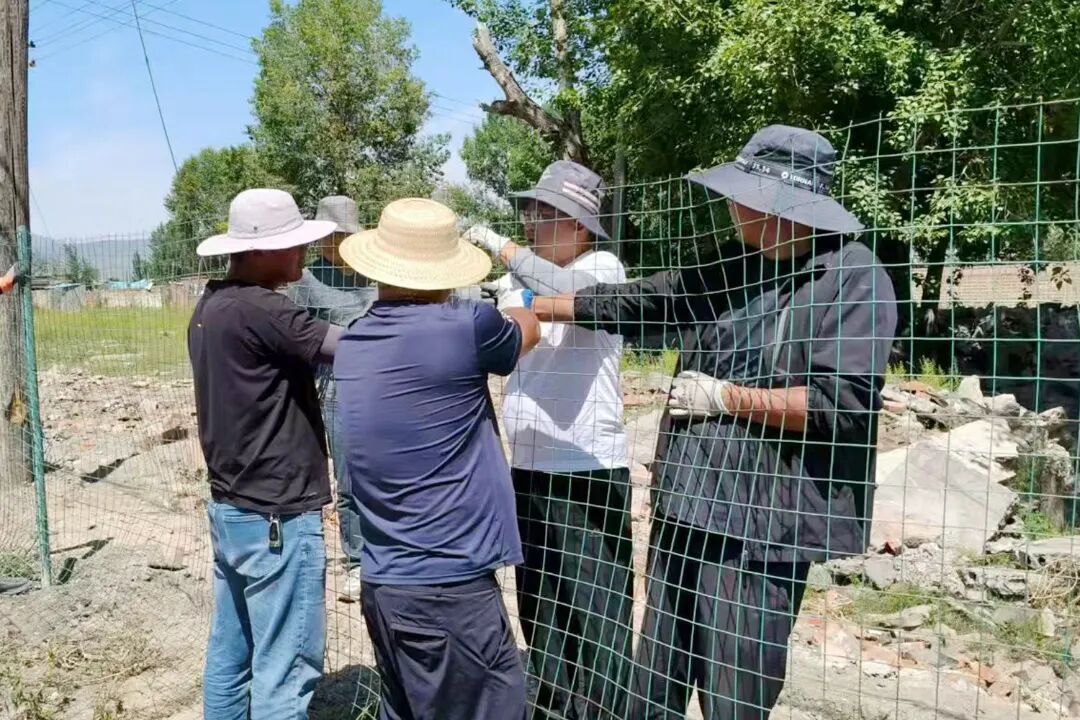 1765160730728526.jpg 33.jpg